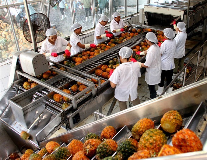 Production by value chains increases Vietnam’s vegetable and fruit exports - ảnh 1